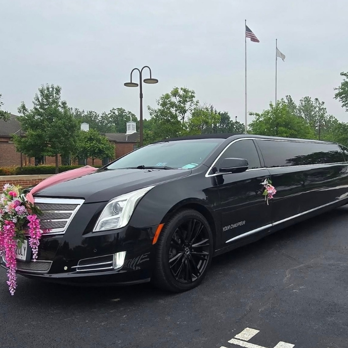 black color limousine parked