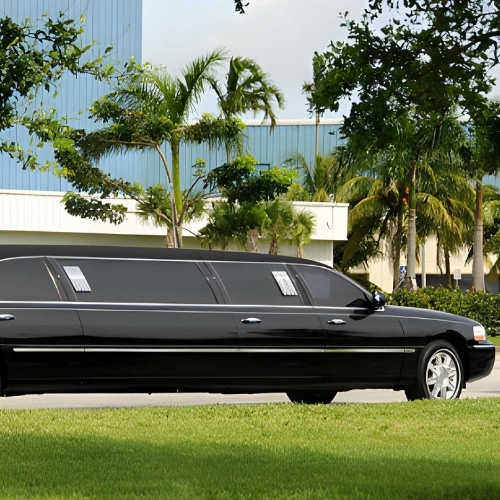 black stretch limousine parked near palm trees and building